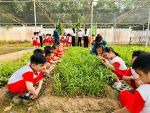 Tham quan Ban Chỉ Huy Quân Sự xã Thanh An