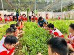 Tham quan Ban Chỉ Huy Quân Sự xã Thanh An