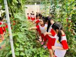 Tham quan Ban Chỉ Huy Quân Sự xã Thanh An