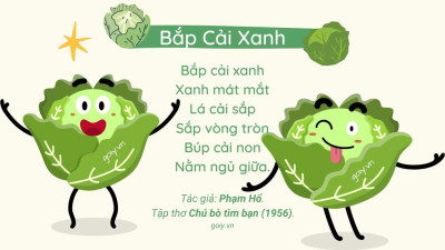 Bắp cải xanh
