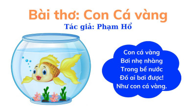 Con cá vàng